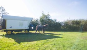 Horse Caravan